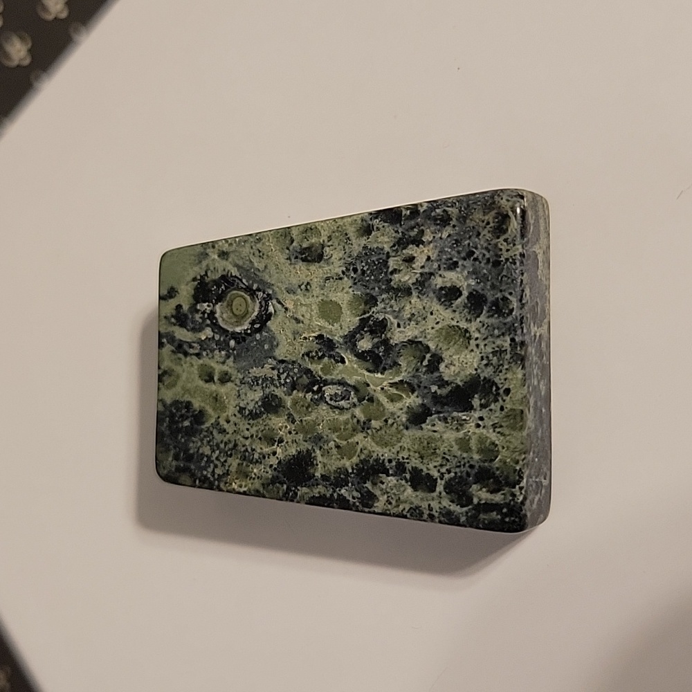 Green Natural stone healing crystal Kambaba Jasper Pendant NWOT